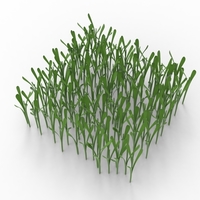 grass - Thumbnail 9