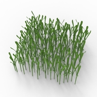 grass - Thumbnail 10