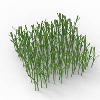 grass - Thumbnail 11