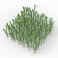 grass - Thumbnail 12