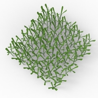 grass - Thumbnail 13