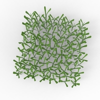 grass - Thumbnail 14