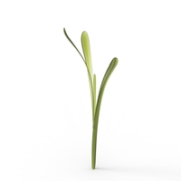 grass - Thumbnail 16