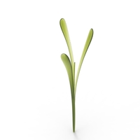 grass - Thumbnail 17