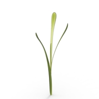 grass - Thumbnail 18