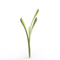 grass - Thumbnail 19