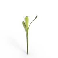 grass - Thumbnail 20