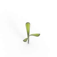 grass - Thumbnail 21