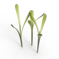 grass - Thumbnail 22