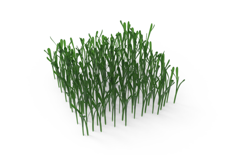 grass 3D Print 477066