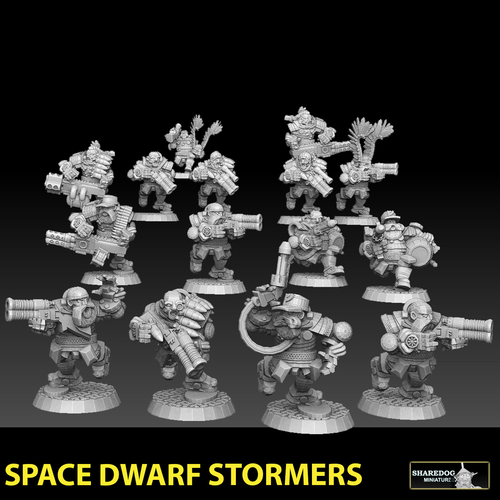 Space Dwarf Stormers 3D Print 477539