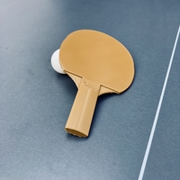 Small Ping pong paddle 3D Printing 477673