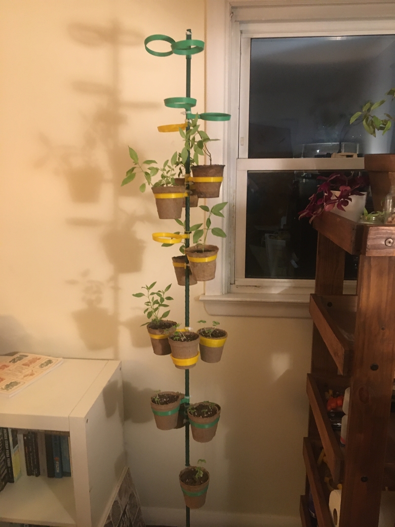 Modular Plant Stand