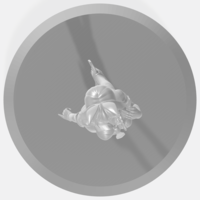 Bunny Shigure - Thumbnail 1