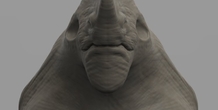 Image 47885
