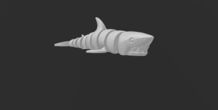 Image 479785