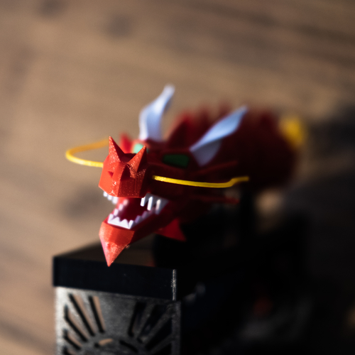 SHAPE SHAKER DRAGON 3D Print 479903