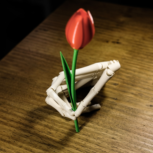 The skeleton Hand 3D Print 479912