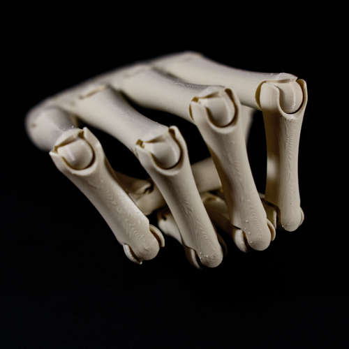 The skeleton Hand 3D Print 479914