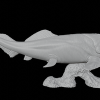 Dunkleosteus - 3D Printable 3D print model - Thumbnail 7