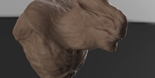 Image 48036