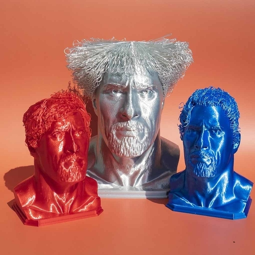 Hairy Dwayne Johnson - No support 3D Print 480379