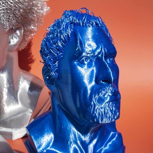 Hairy Dwayne Johnson - No support 3D Print 480381