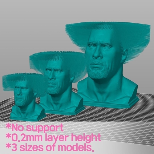 Hairy Dwayne Johnson - No support 3D Print 480382