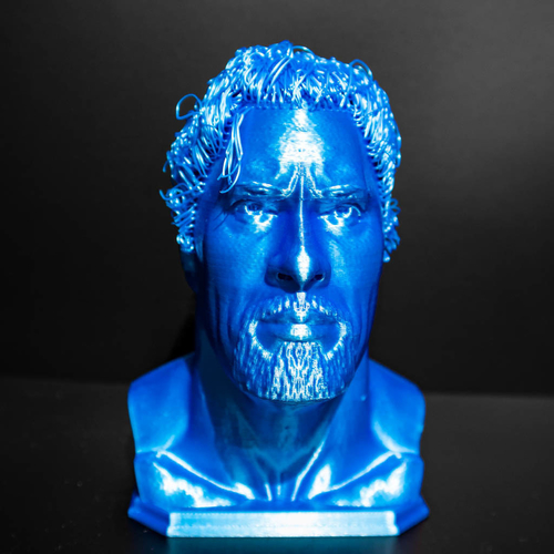 Hairy Dwayne Johnson - No support 3D Print 480383