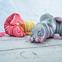 Seal - Flexible - No support - Thumbnail 5