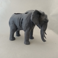 Small DESK TIDY - ELEPHANT 3D Printing 480412