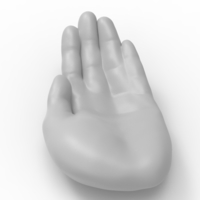 hand tray- ash tray - Thumbnail 13