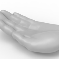 hand tray- ash tray - Thumbnail 14