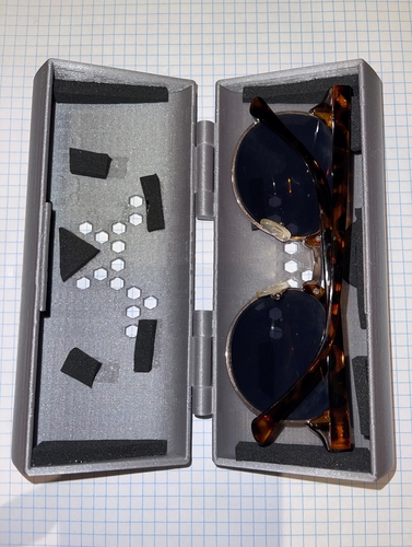 SUNGLASSES CASE FOR THE LADIES 3D Print 481002