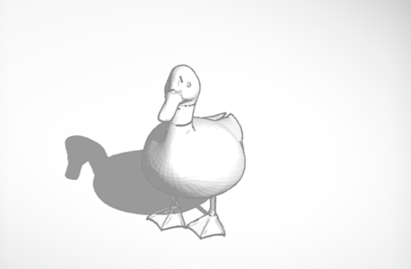 Realistic Duck