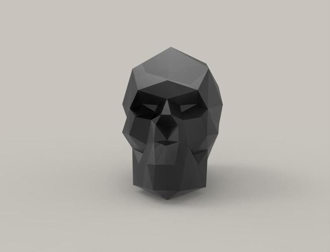 Skull 3D Print 48147