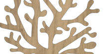 Image 481771