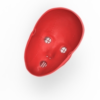 Bols mask (akame ga kill) - Thumbnail 17