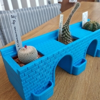 Small Flower pot -bridge for cactus and succulents 3D Printing 482678