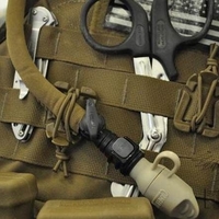 FMA Web Dominator - Thumbnail 2