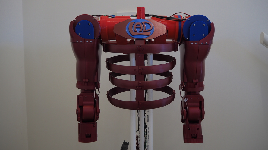 HUMANOID TORSO-3D printed-Arduino code included 3D Print 483581