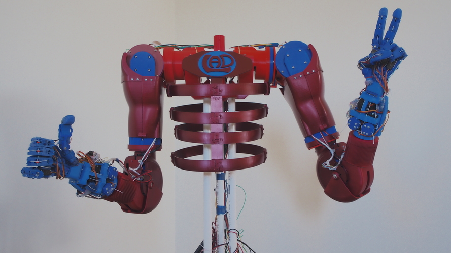 HUMANOID TORSO-3D printed-Arduino code included 3D Print 483582