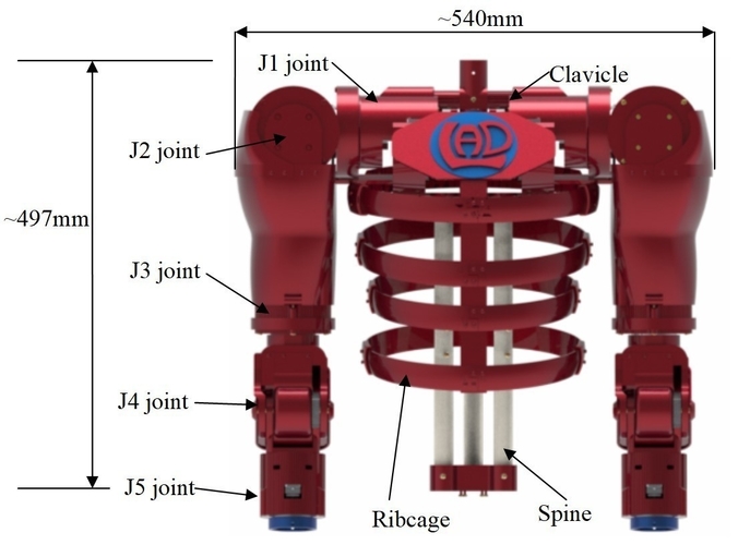 HUMANOID TORSO-3D printed-Arduino code included 3D Print 483590