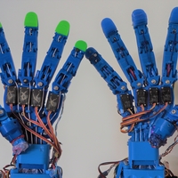 Small LAD Robotic Hand v2.0 3D Printing 483591