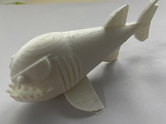 piranha  3D Print 484109