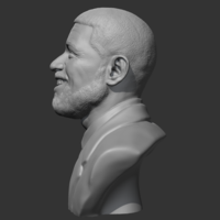 Drake 3D print model - Thumbnail 5