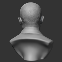 Drake 3D print model - Thumbnail 6