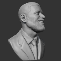Drake 3D print model - Thumbnail 8