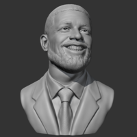 Drake 3D print model - Thumbnail 10