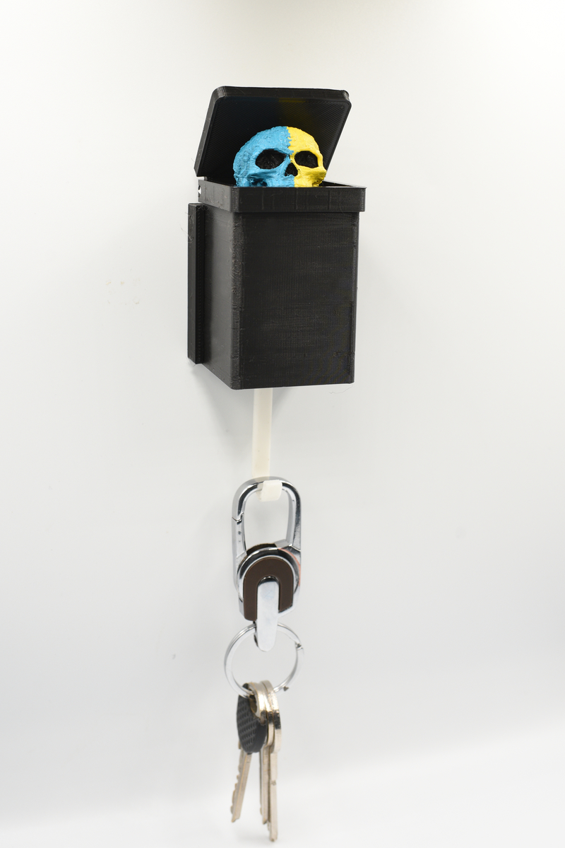 💀SKULL WALL HANGER ☠